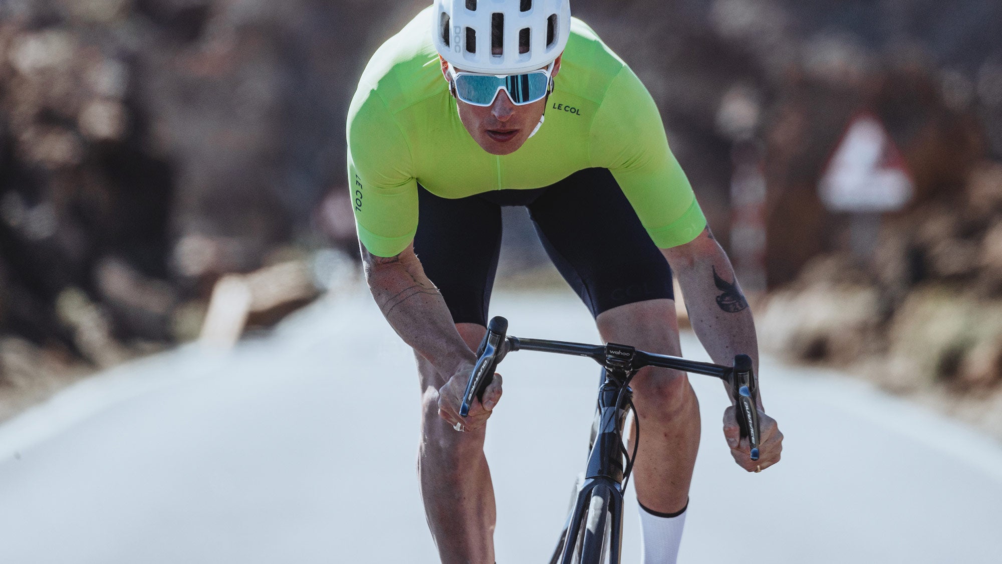 Pro Bib Shorts 42 Pro Bib Shorts