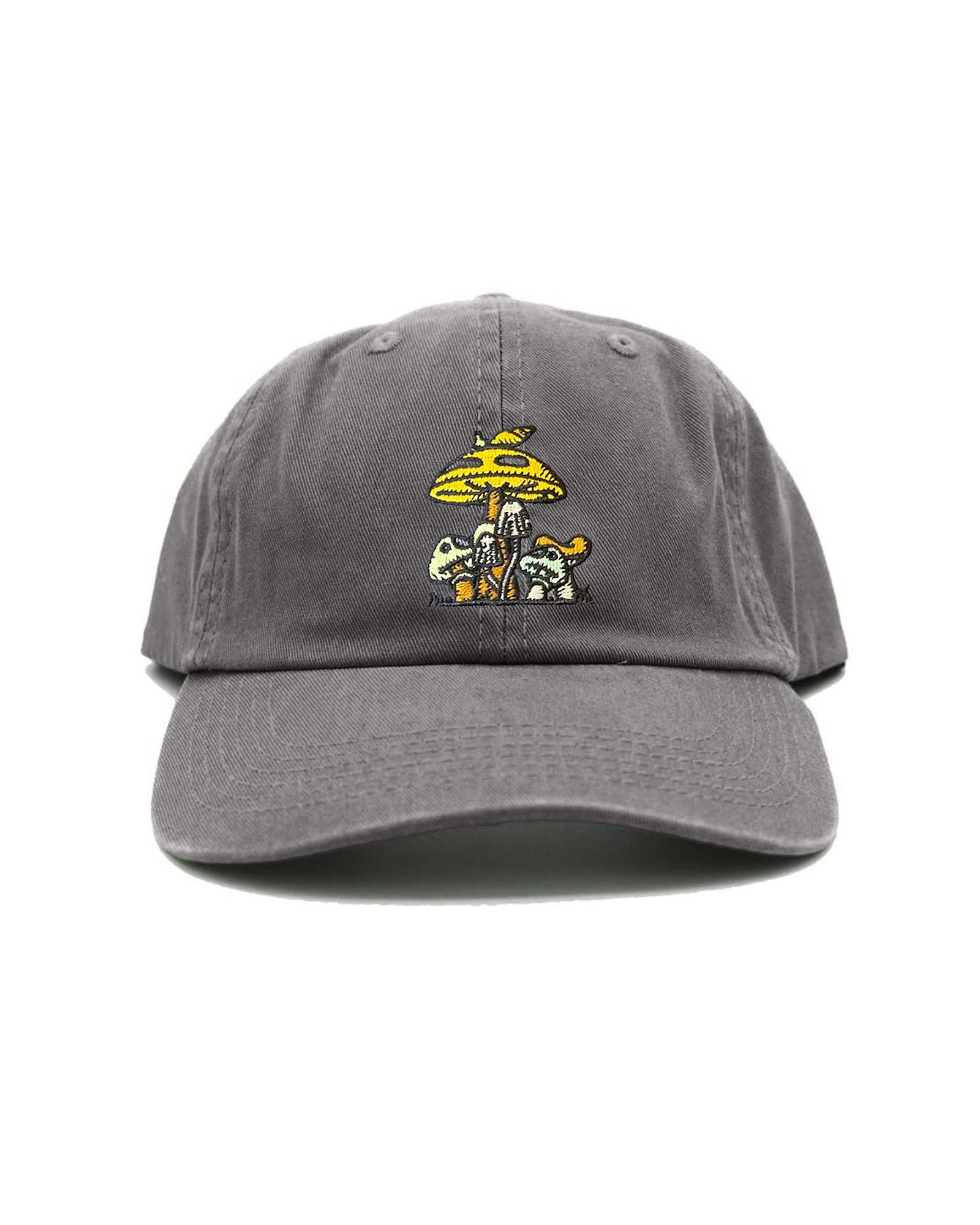 National Parks Fungi Patch Hat